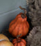 Pumpa, H 19 cm, orange