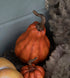 Pumpa, H 17,5 cm, orange