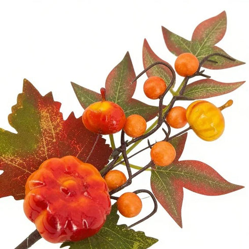 Kostväxt, Höstgren, Orange, H 33cm