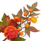 Kostväxt, Höstgren, Orange, H 33cm