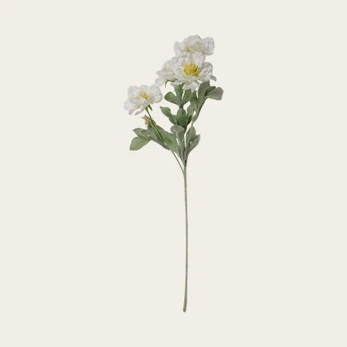 Artificial plant, white, H 62cm