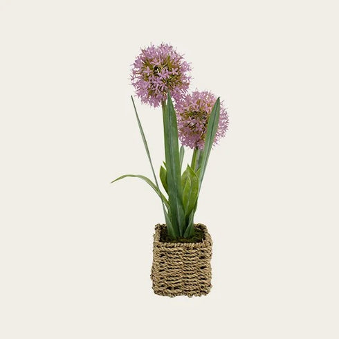 Artificial plant in pot, Purple, H 46cm