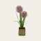 Artificial plant in pot, Purple, H 46cm