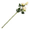 Konstblomma, Ros, H54cm, Vit