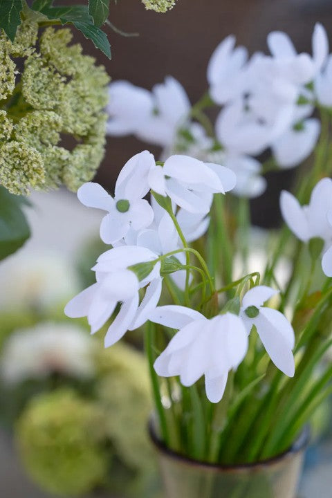 Konstväxt, H29cm, Vit grön