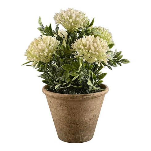 Konstväxt, H23cm, Grön vit i kruka