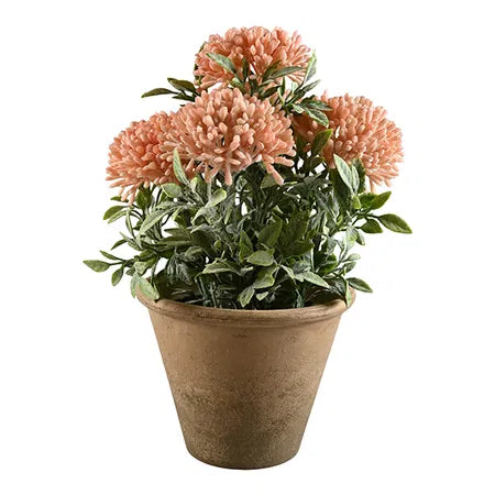 Konstväxt, H23cm, Grön rosa i kruka