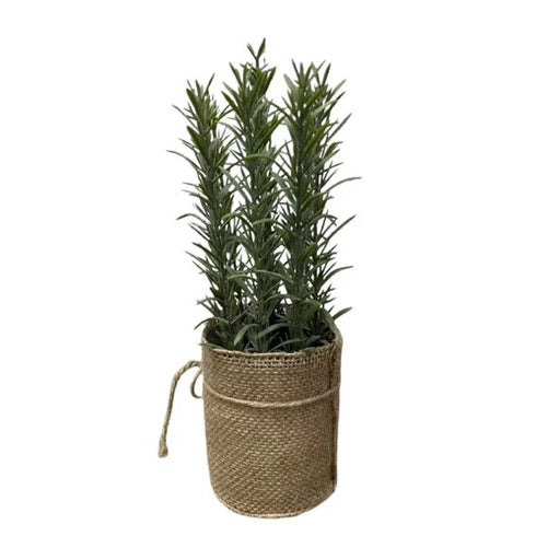 Konstväxt i kruka, H 24cm