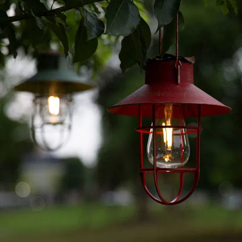 Solcellslykta, H20,50xDia18,30cm