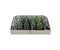 Julgranar med LED , H 11cm