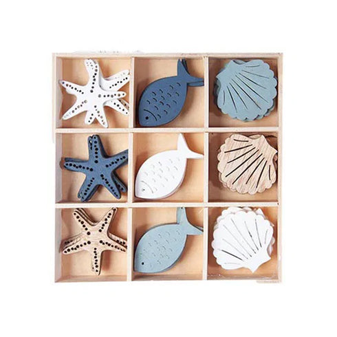 Seashells for decoration in box, White/blue56