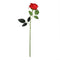 Ros Röd H 50cm