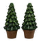 Potted Christmas Tree for Elf Door, 2-pack, H 7.1cm