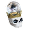 Halloween snow globe på döskalle, H 7,5 cm, 12 st/Display