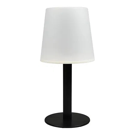 Solcellslampa H31xDia15 cm, knockdown/box