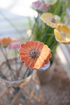 Ceramic Flower Daisy, for decoration, H26cm