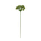 Artificial plant, H 65cm, Green