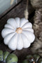 Pumpa i porslin, vit, H 8,8 cm