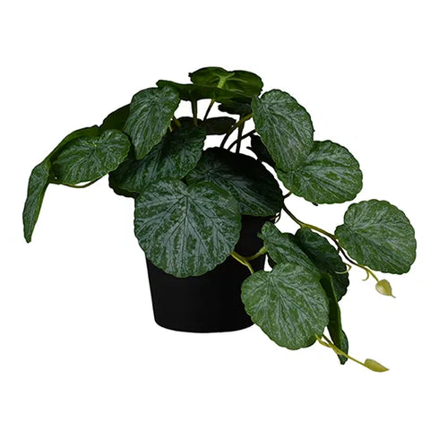 Konstväxt, H20cm, Grön