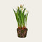 Artificial plant, Spring flowers, H 22cm, plastic