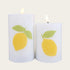 LED-ljus m timer, H 12,5/10cm, 2/box, Vit, Citrus stora