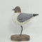 Sjöfågel för dekoration, H17cm, Natur