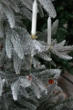 Ljushållare till julgranen, H 16cm, Champagne