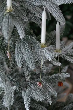 Ljushållare till julgranen, H 16cm, Champagne