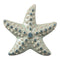 Starfish, H8cm, Ceramic, Green