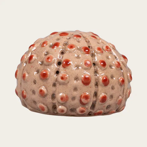 Shell, H 5 cm, dia. 6.5 cm, Ceramic, Orange