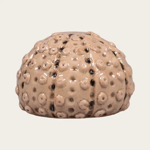 Shell, H 5 cm, dia. 6.5 cm, Ceramic, Blue
