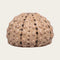 Shell, H 5 cm, dia. 6.5 cm, Ceramic, Blue
