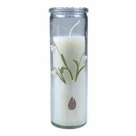 Naturlig källa, Ljus i glas