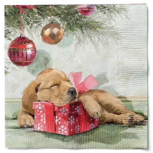 Servetter, 3-lags, Ljusgrön, Hundvalp, Cosy Christmas