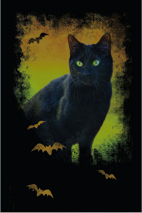 Halloweenkort Svarta Katten