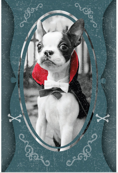 Halloweenkort Drakulas hund