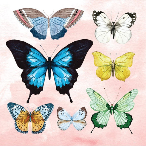 3D Pop-Up Kort, Butterfly, mini