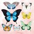 3D Pop-Up Kort, Butterfly, mini