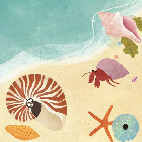 3D Pop-Up Card, Seashells, mini