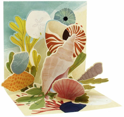 3D Pop-Up Card, Seashells, mini
