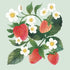 3D Pop-Up Card, Strawberries, mini