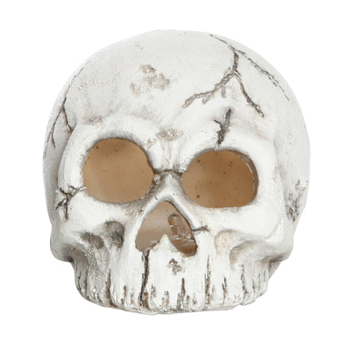 Döskalle med LED, H 8,5 cm