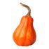 Pumpa, H 17,5 cm, orange