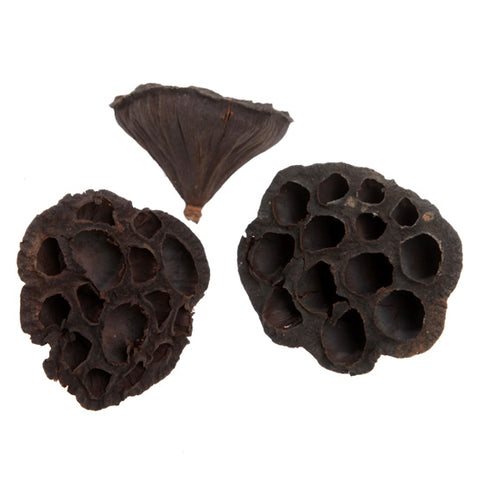 Frökapsel för dekoration