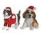 Hund m tomteluva 2ass
